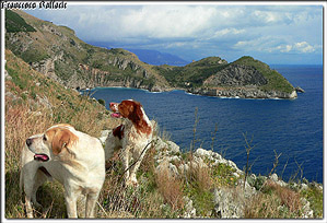 Baia di Ieranto (Feb. 2005)
