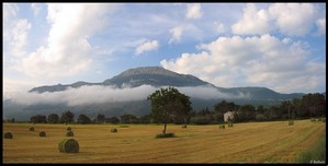 Basilicata, Val d'Agri (Contrada Matina, tra Villa d'Agri e Viggiano)