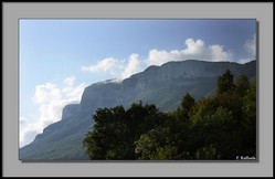 Il Panormo da Sicignano degli Alburni