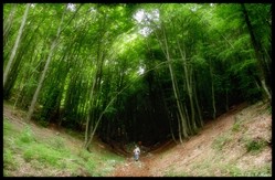 "fuori dal tunnel"