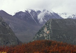 Le Mainarde (Mt. Mare - Mt. Marrone)