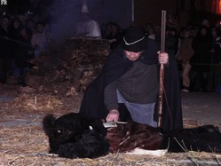 Cacciatore