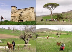 Masseria Ielardi  (a sud di San Marco dei Cavoti)