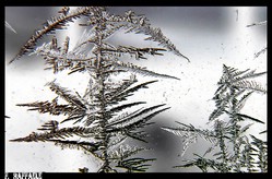 Siamo attorno ai -9°C
