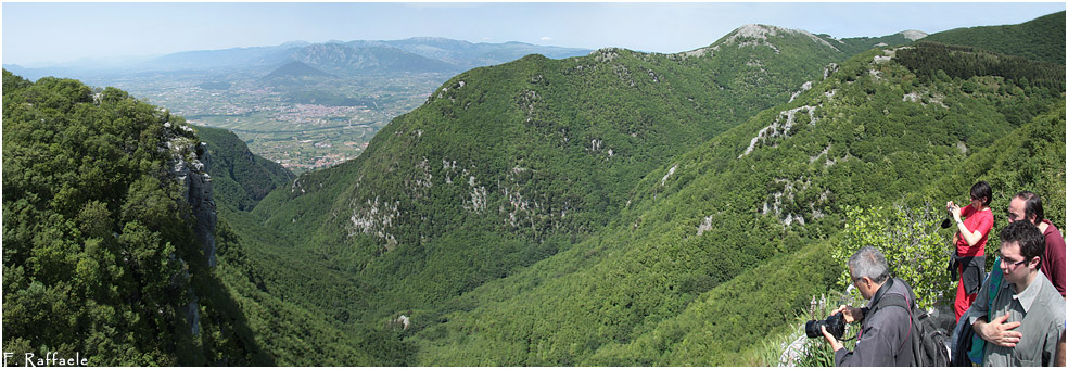 Vallone Saucolo