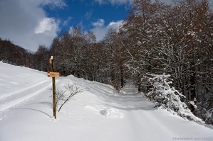 Bivio sul Sentiero A1 (Rifugio Prato rosso) - A6 (Valle di Corte - Mt. Marsicano)
