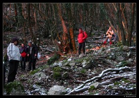 Calde tinte del tramonto nel bosco