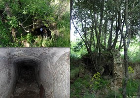 Emergenze  archeologiche sul Monte Barbaro - Gauro