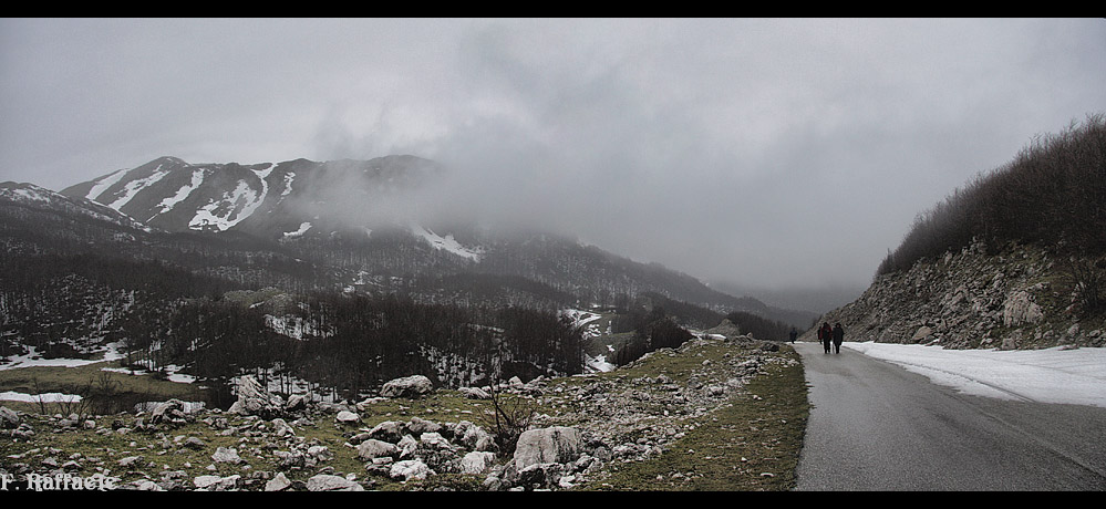 Ritorno per la strada Campitello Matese - Sella del Perrone