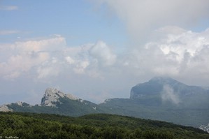 Monte Urto Falcone e Monte Alburno