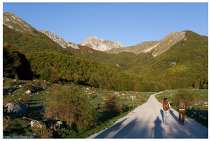 Partenza ore 7:30 dal Rifugio Falco, presso Le Forme