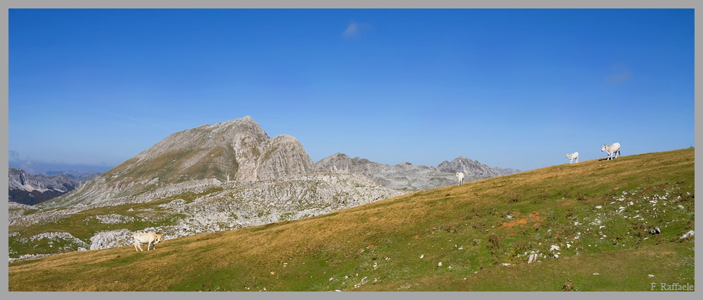 Panorama sulla Meta da sud