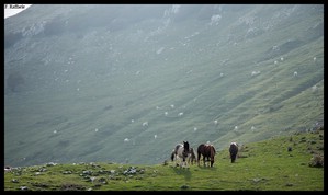 Passo della Montagnola (tra Monte Mare e Monte Marrone)