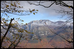Il Mt. Terminio dalla strada Serino - Giffoni