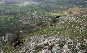 Gioia Sannitica vista dall'alto