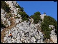 Il sig. Leonardo F. si arrampica per fotografare i camosci