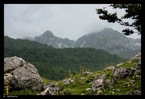 Fianco orientale della dorsale Mt. Altare - Petroso