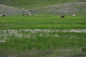 L'acquitrino del "Lago Vivo", quasi in secca nella stagione calda