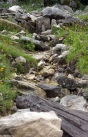 La Fonte degli Uccelli, sul lato Sud-ovest della morena che ospita il Lago Vivo
