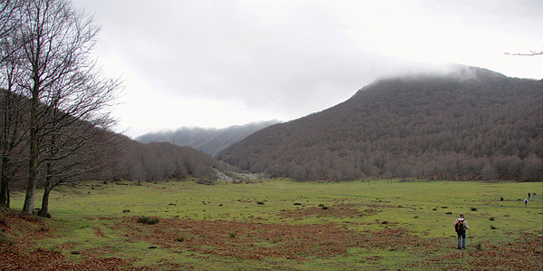 Piano di Lauro
