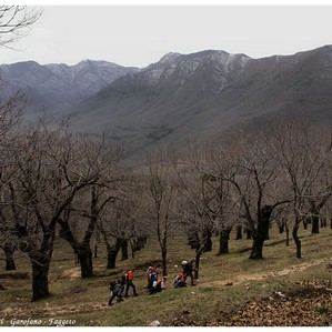 La Valle del Sabato dai Castagneti del Matrunolo: i monti Tre Cappelle, Mai, Valle della Tornola, mt. Garofano e mt. Faggeto