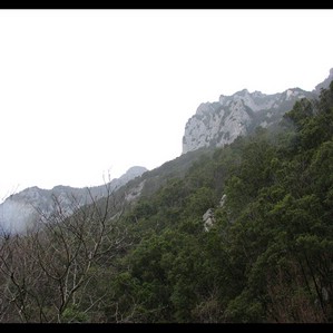 Sguardo verso l'alto