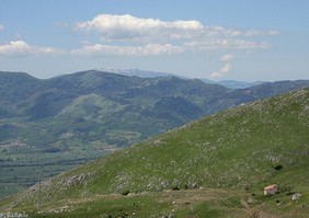 Il Cervati