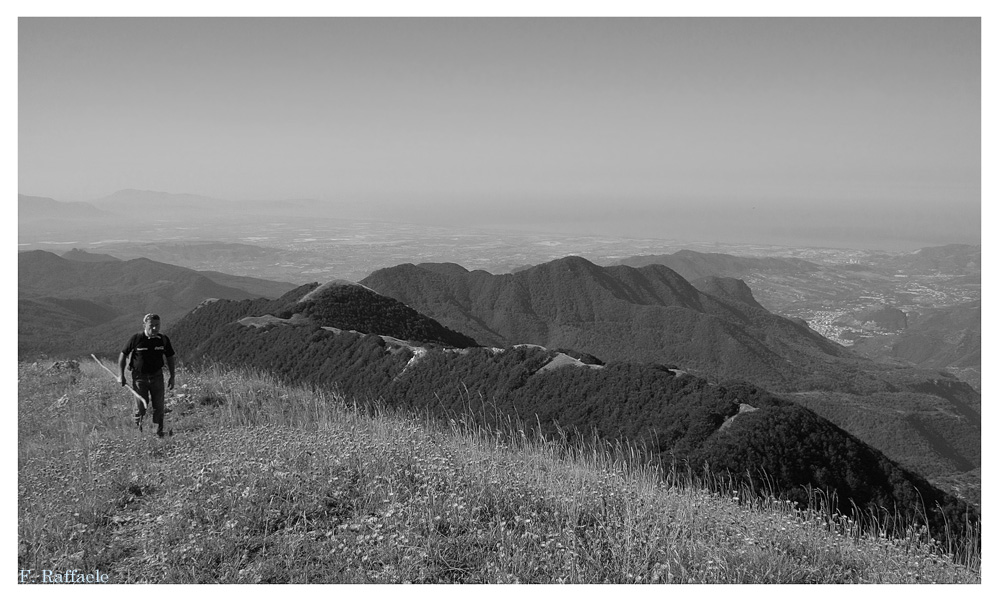 Cresta dell'Accellica sud, poco prima della cima