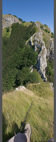 vista da sopra al Ninno (guardando verso N) del cavo che consente la facile arrampicata sul Ninno. Di fronte si vede il boschetto da dove (grazie all'ultimo tratto di ferrata) si esce per guadagnare la crestina che poi piega a sinistra (Ov) per la cima Nord (NB: ci vogliono + di 2 ore per compiere in and/rit l'intera traversata da cima a cima, a mano libera)