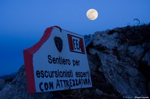 fotomontaggio