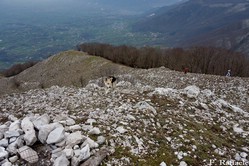 Cima del Monte Monaco di Gioia Sannitica