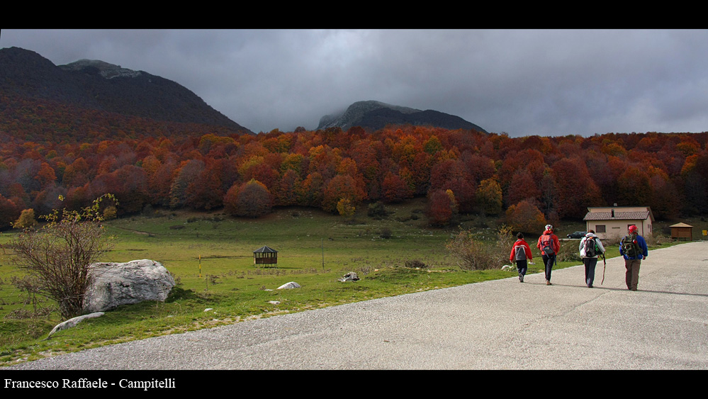 Ritorno a Campitelli