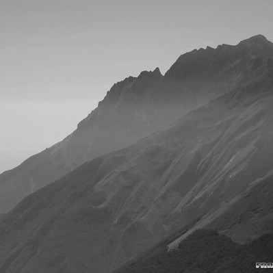Dente d. Lupo del Mt. Camicia