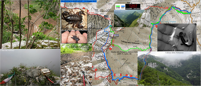 Traccia dell'itinerario