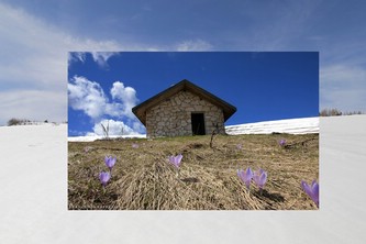 11 Maggio 2015