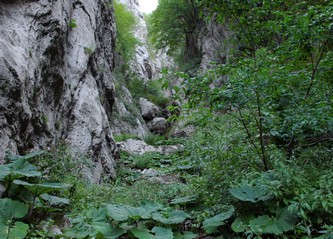 Ci avviciniamo al salto di quota 1200m circa