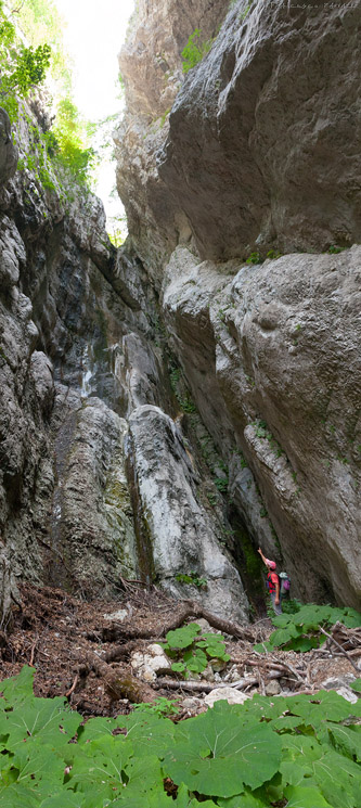 "Butto del Vallone del Carpino" "Butto del Vallone del Carpino"