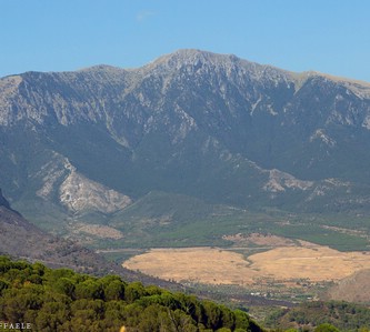 Celsa Bianca e Dolcedorme