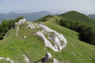 Sulla Cresta Sud, verso il Valico di Acquafredda e il Timpone (1444m)