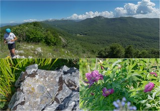 Cima Monna Rosa (1781 m)