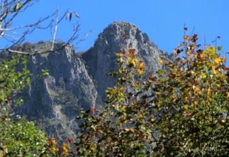 Q. 1457 m di Boccademone (Falconara)