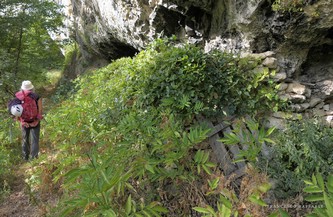 Grotta Refora